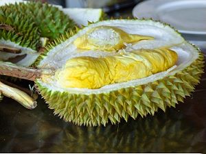 Durians - fruit exotique