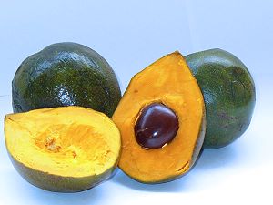 Lucumas - fruit exotique