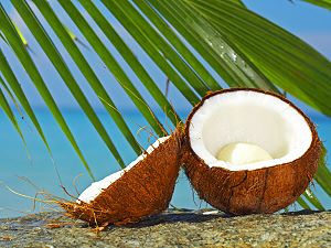 Noix de coco - fruit exotique