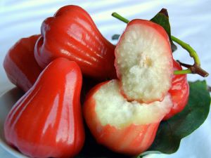 Pommes de rose ou Chomphus - fruit exotique