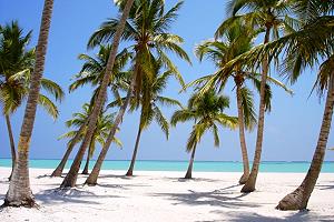 Plage de sable blanc en République Dominicaine