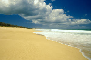 Plage de sable jaune