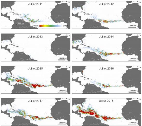 Evolution des algues sargasses dans les Caraïbes 2011-2025