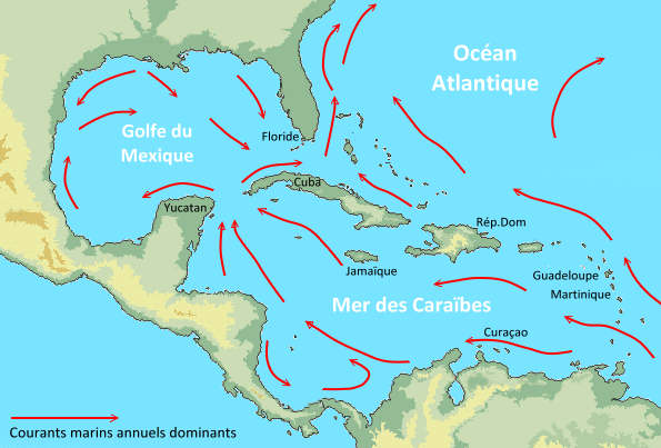 Courants marins et sargasses dans les Caraïbes 2025