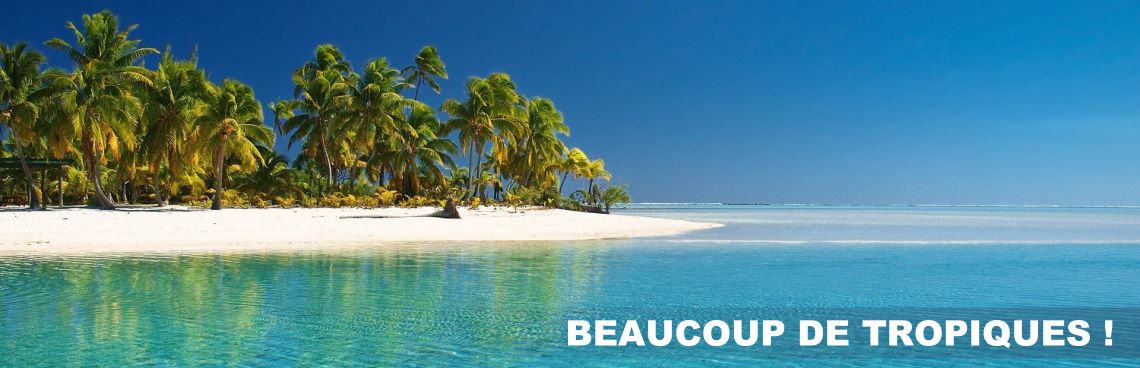 Voyage sous les tropiques et séjour plage