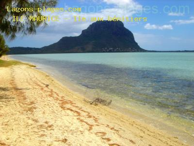 Plage de l' ile maurice à Ile aux bénitiers