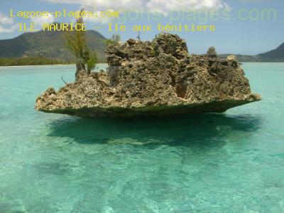 Plage de l' ile maurice à Ile aux bénitiers, lagon