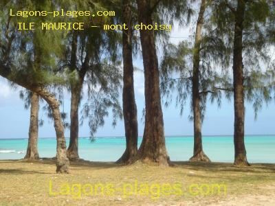 Plage de l' ile maurice à Mont choisy