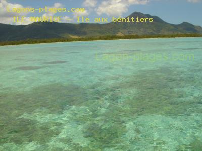 Plage de l' ile maurice à Ile aux bénitiers, Case noyale