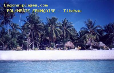 Plage de la polynesie franaise  L'atoll de Tikehau