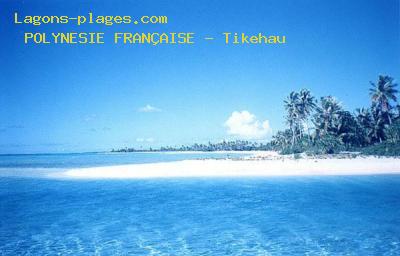 Plage de la polynesie franÇaise à Tikehau et motu sauvage