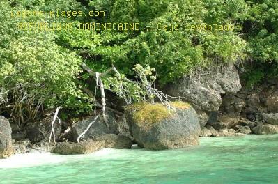 Plage de la republique dominicaine à Cayo levantado île privée