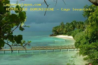 Plage de la republique dominicaine à Cayo levantado
