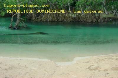 Plage de la republique dominicaine à Las galeras au nord