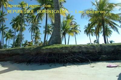 Plage de la republique dominicaine à Las galeras, plage de l'hôtel