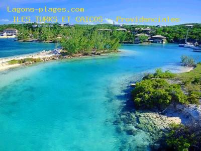 Plage de turks et caicos à Turtle Cove à Providenciales