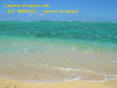 Plage de l' ile maurice à Coraux et de coquillages du Morne Brabant
