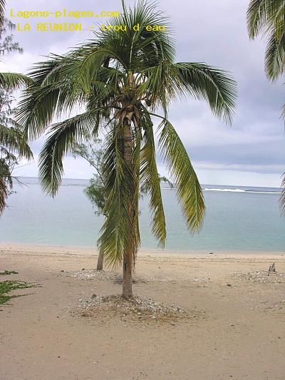 Plage de LA REUNION  Trou deau