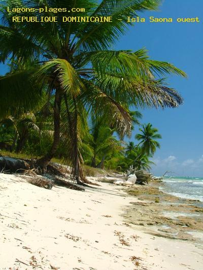Plage de la republique dominicaine à Isla Saona ouest