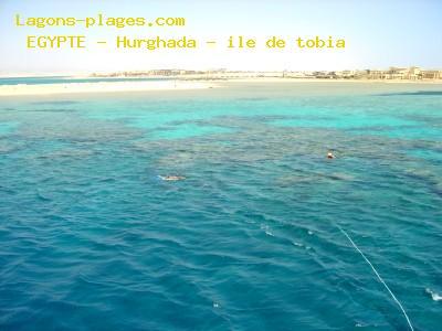 Plage de L' egypte à Hurghada - ile de tobia