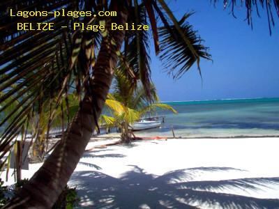 Plage de belize à Plage Belize