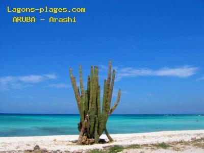 Plage de aruba à Plage de Arashi