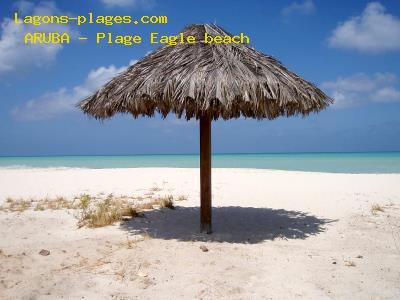 Plage de aruba à Plage Eagle beach