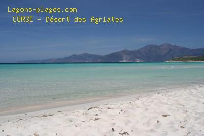 Plage de la corse à Plage de saleccia
