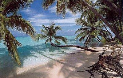 Plage des maldives à Plage Maldives