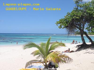 Plage de la guadeloupe à Marie Galante