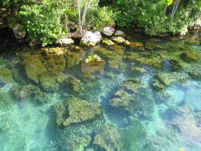Plage du mexique à Xel-Ha, eaux de rivières souterraines