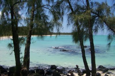 Plage de l' ile maurice à Le magnifique lagon de l'île aux Cerfs