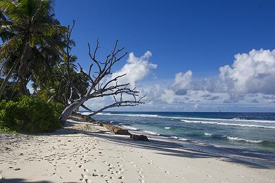 Plage des seychelles à Plage Grosse roche La Digue