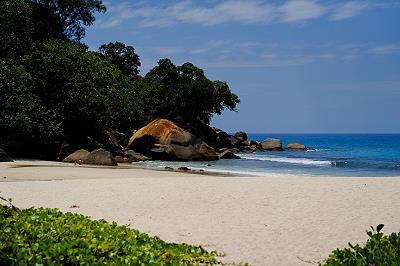Plage des seychelles à Anse Louise Mahé