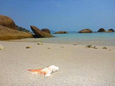 Plage de la thailande à Koh Samui Lamai Crystal Bay