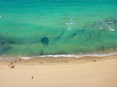 Plage de la tunisie à Djerba Lookéa Vincci Helios