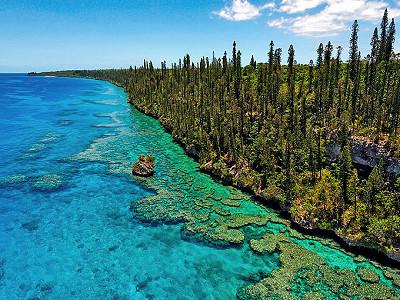 Plage de la nouvelle-caledonie à Lifou et ses falaises de pins colonnaires