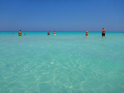 Plage de cuba à Etoiles de mer rouges à Varadero