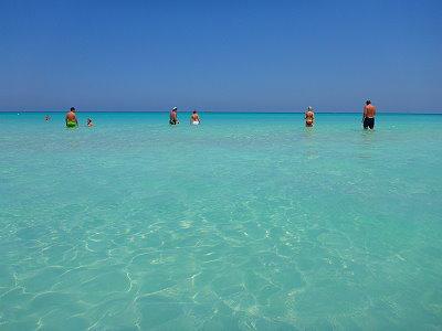 CUBA, ETOILES DE MER ROUGES  VARADERO