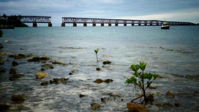 Plage des usa à Parc d'Etat de Floride