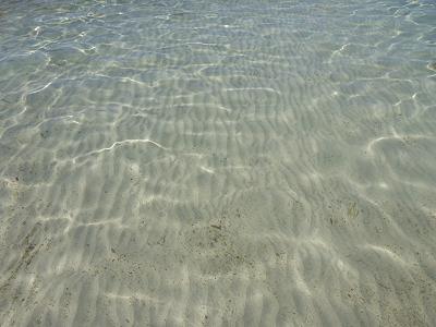 FRANCE, ILE DE PORQUEROLLES PLAGE D'ARGENT EAU TRANSPARENTE